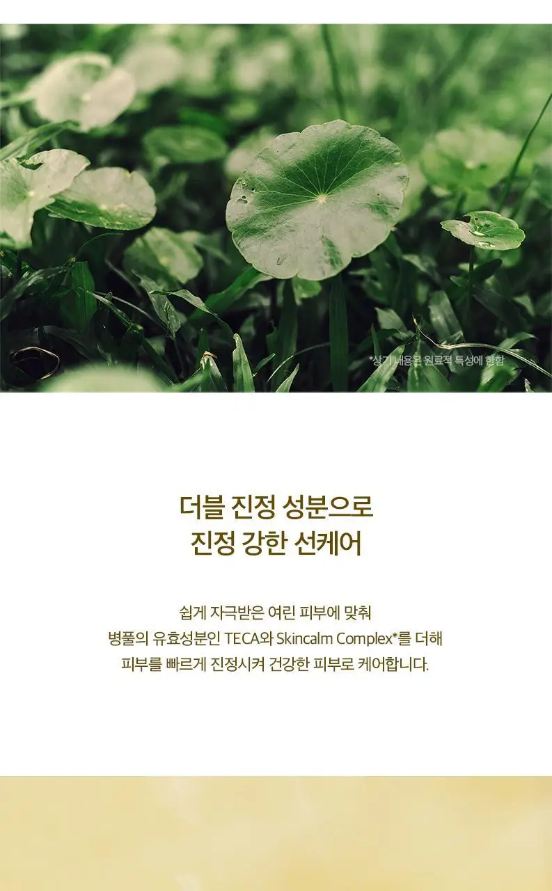 [무기자차]스킨1004 마다가스카르 센텔라 에어핏 선크림 라이트 50ml 상세페이지 7